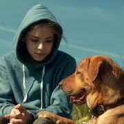Biały Bóg - galeria zdjęć - filmweb