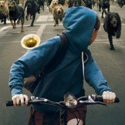 Biały Bóg - galeria zdjęć - filmweb