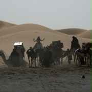 Królowa pustyni - galeria zdjęć - filmweb