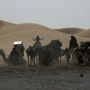 Queen of the Desert - galeria zdjęć - filmweb
