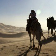 Queen of the Desert - galeria zdjęć - filmweb