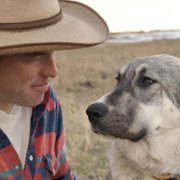 Man, Woman, Dog - galeria zdjęć - filmweb