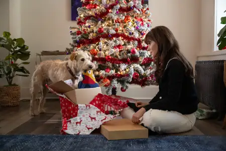 Merv - galeria zdjęć - filmweb