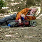 A Walk in the Woods - galeria zdjęć - filmweb