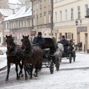 Panie Dulskie - galeria zdjęć - filmweb