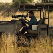 Living with Leopards - galeria zdjęć - filmweb
