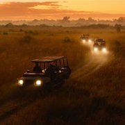 Living with Leopards - galeria zdjęć - filmweb