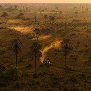 Living with Leopards - galeria zdjęć - filmweb