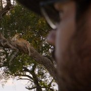 Living with Leopards - galeria zdjęć - filmweb