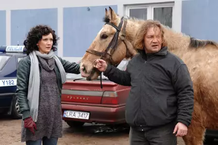 Ranczo - galeria zdjęć - filmweb