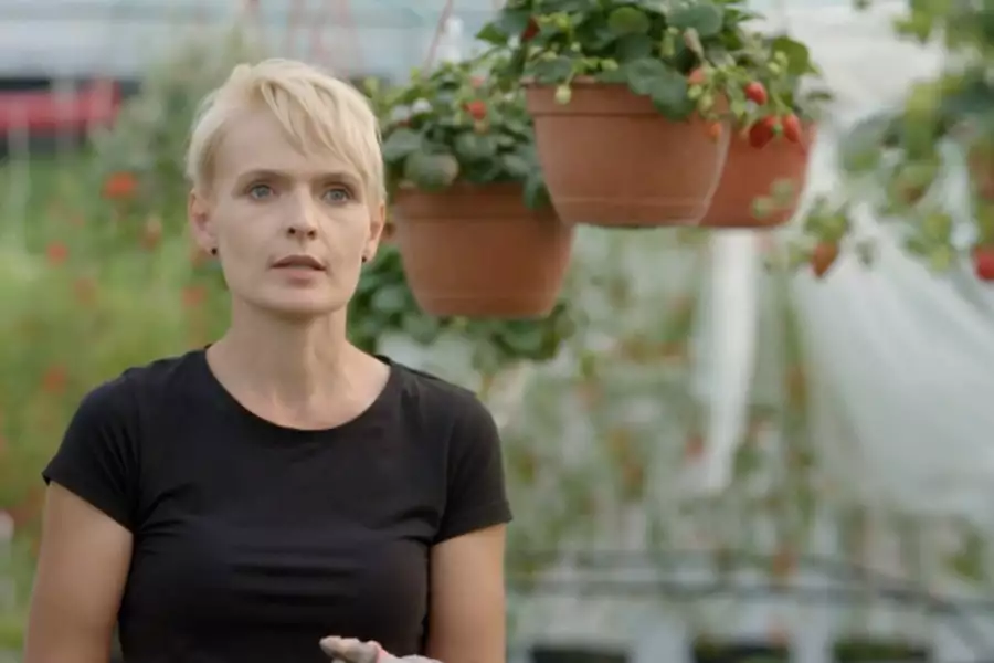 Zawodowa Anka - galeria zdjęć - filmweb