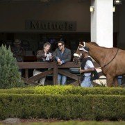 Mississippi Grind - galeria zdjęć - filmweb