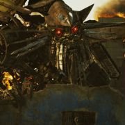 Transformers: Revenge of the Fallen - galeria zdjęć - filmweb