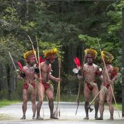 Dzikie plemię - galeria zdjęć - filmweb