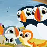 Puffin Rock and the New Friends - galeria zdjęć - filmweb