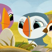 Wyspa Puffinów. Nowi przyjaciele - galeria zdjęć - filmweb