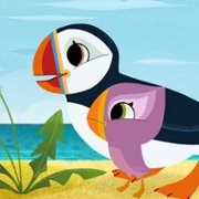 Puffin Rock and the New Friends - galeria zdjęć - filmweb