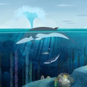 Puffin Rock and the New Friends - galeria zdjęć - filmweb