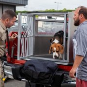 Lucky - galeria zdjęć - filmweb