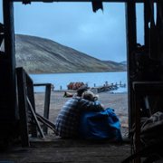 Nagle - galeria zdjęć - filmweb