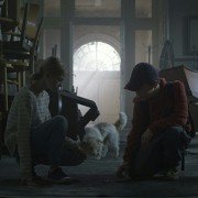 Tarapaty - galeria zdjęć - filmweb