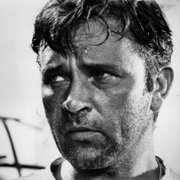 The Night of the Iguana - galeria zdjęć - filmweb