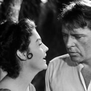 The Night of the Iguana - galeria zdjęć - filmweb