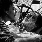 The Night of the Iguana - galeria zdjęć - filmweb