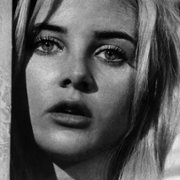 The Night of the Iguana - galeria zdjęć - filmweb