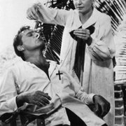 The Night of the Iguana - galeria zdjęć - filmweb