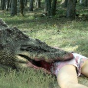 Aligator kontra Anakonda - galeria zdjęć - filmweb