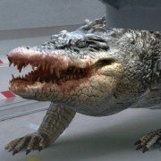 Lake Placid vs. Anaconda - galeria zdjęć - filmweb