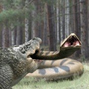 Lake Placid vs. Anaconda - galeria zdjęć - filmweb
