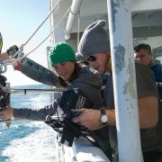 WildLike - galeria zdjęć - filmweb