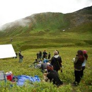 WildLike - galeria zdjęć - filmweb
