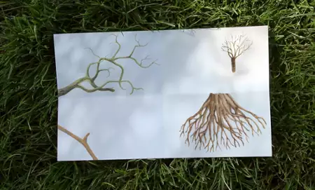 Godziny drzewa - galeria zdjęć - filmweb