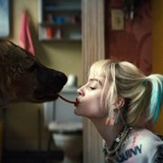 Birds of Prey (And the Fantabulous Emancipation of One Harley Quinn) - galeria zdjęć - filmweb