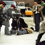 Wilk - galeria zdjęć - filmweb