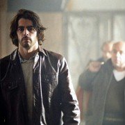 Wilk - galeria zdjęć - filmweb