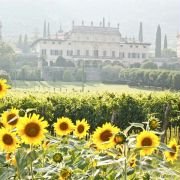 Letters to Juliet - galeria zdjęć - filmweb
