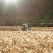 Lunana: A Yak in the Classroom - galeria zdjęć - filmweb