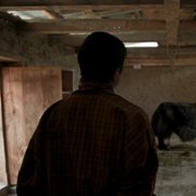 Lunana: A Yak in the Classroom - galeria zdjęć - filmweb
