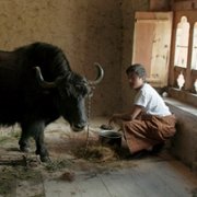 Lunana: A Yak in the Classroom - galeria zdjęć - filmweb
