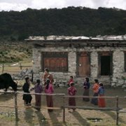 Lunana: A Yak in the Classroom - galeria zdjęć - filmweb