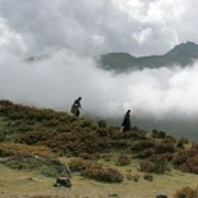 Lunana: A Yak in the Classroom - galeria zdjęć - filmweb