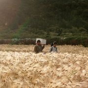 Lunana: A Yak in the Classroom - galeria zdjęć - filmweb