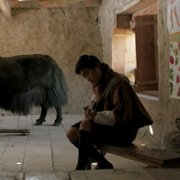 Lunana: A Yak in the Classroom - galeria zdjęć - filmweb