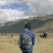 Lunana: A Yak in the Classroom - galeria zdjęć - filmweb