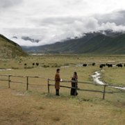 Lunana: A Yak in the Classroom - galeria zdjęć - filmweb