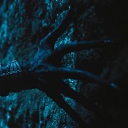 WarHunt - galeria zdjęć - filmweb